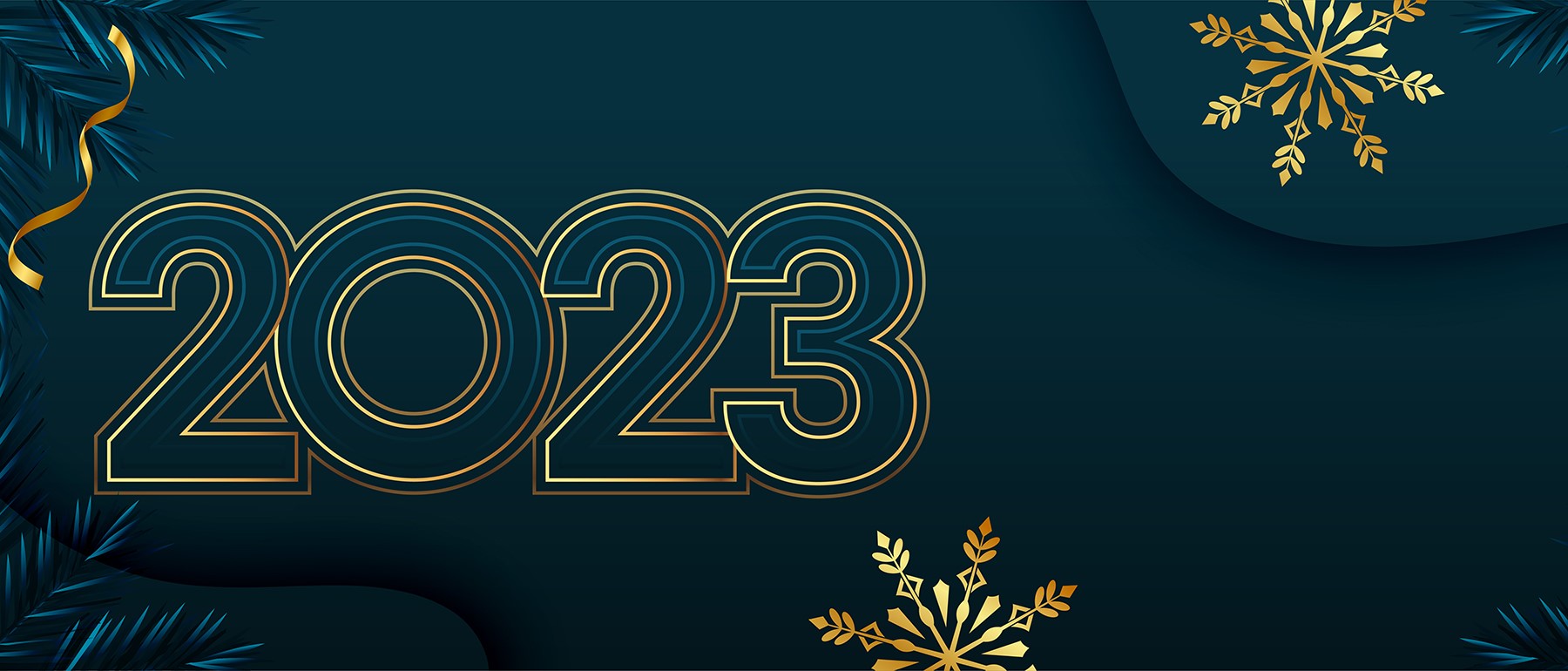 Voeux nouvelle année
