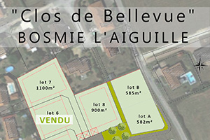 Programme privé “Clos de Bellevue“, Bosmie l'Aiguille