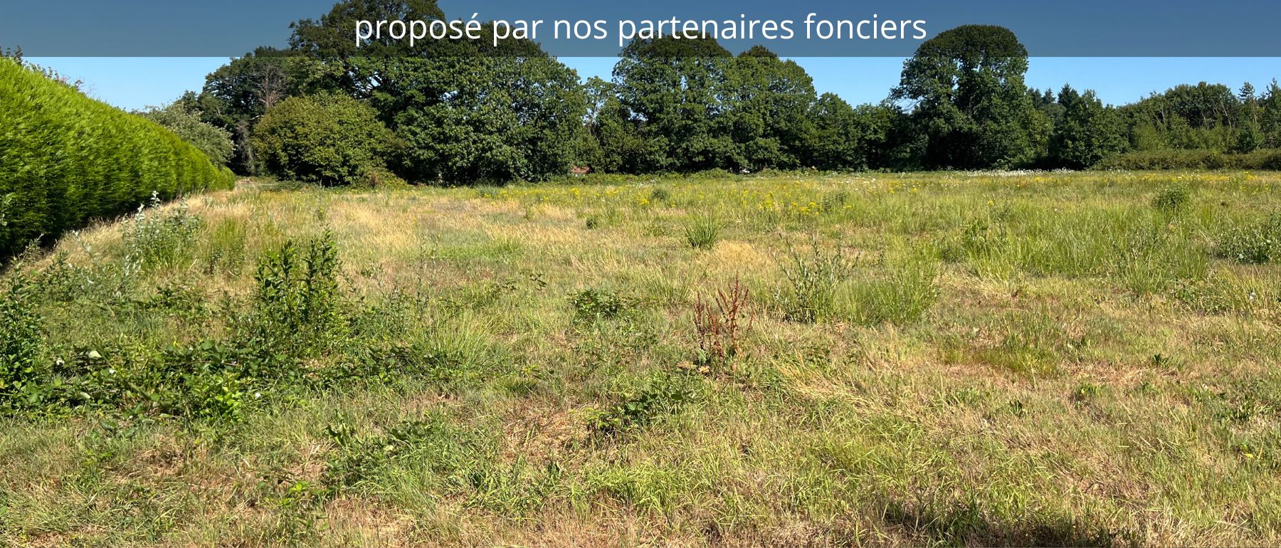 image panoramique