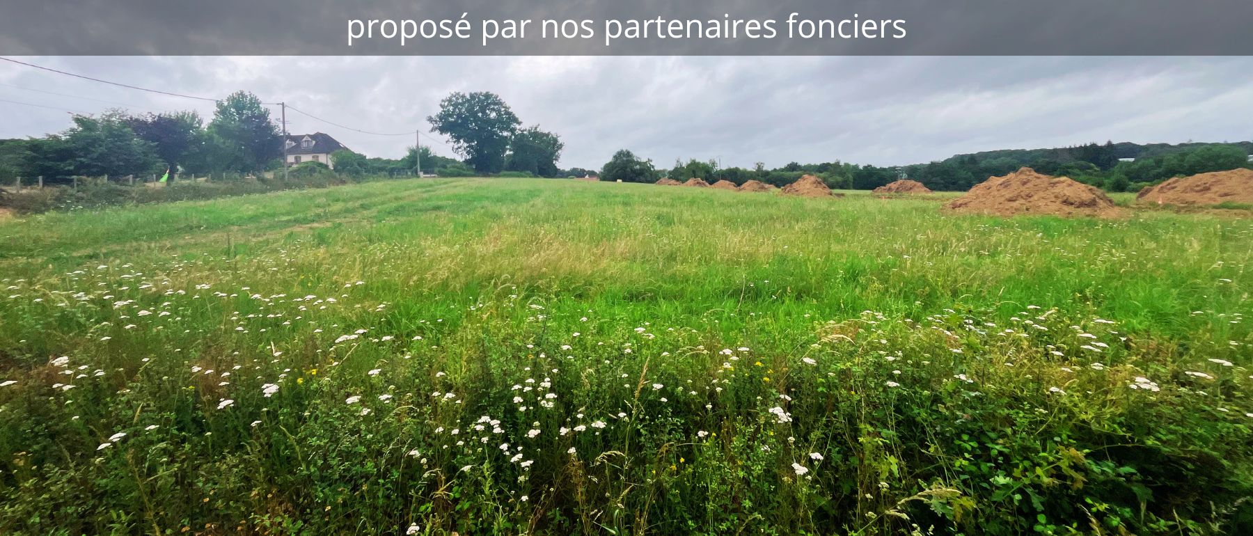 image panoramique
