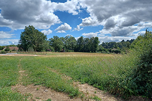 vignette Terrain  l'Hermiterie Couzeix